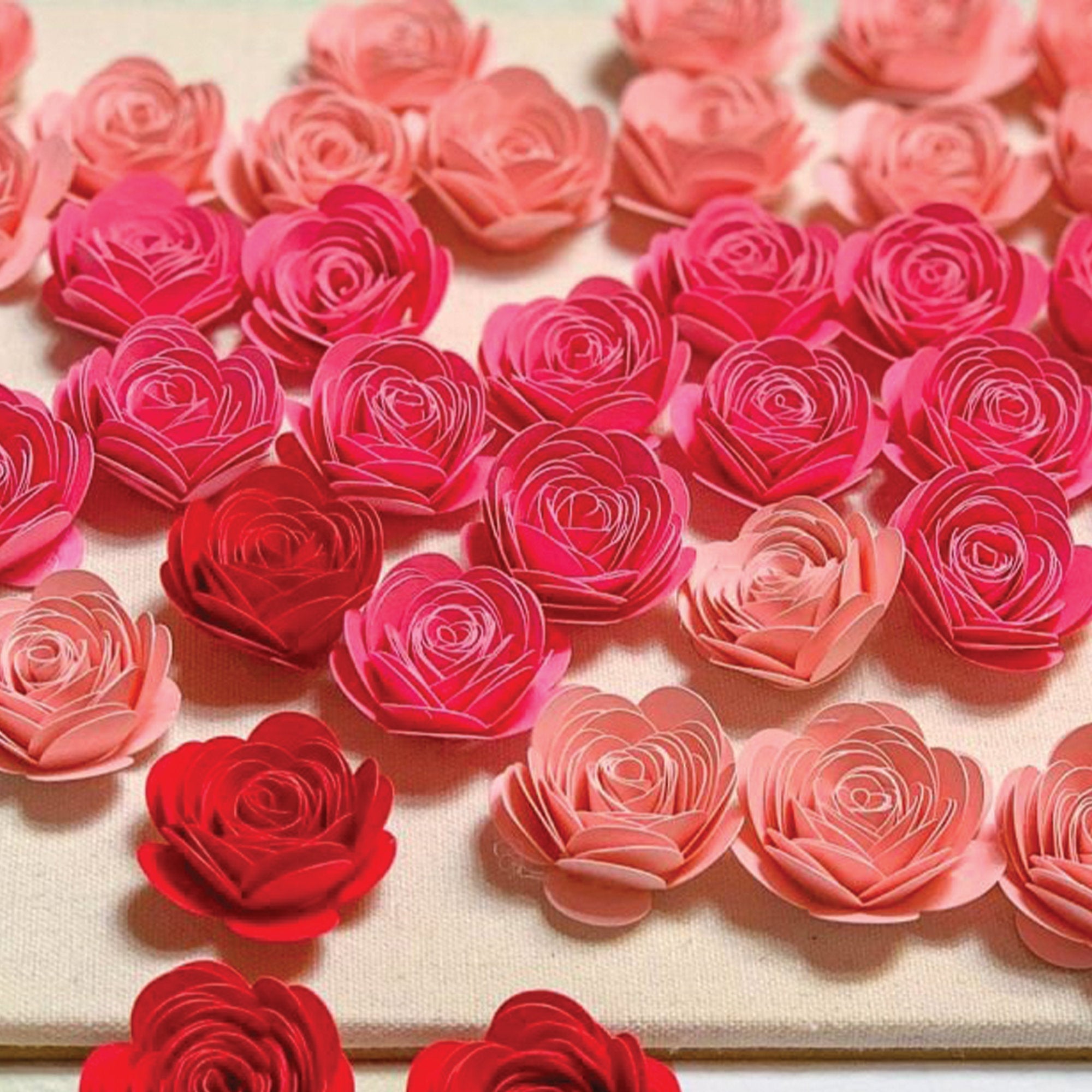 Caja de sombra personalizada con flores, Girasol para siempre en mi corazón Caja de sombra con foto personalizada de flores - Para amantes (Personalizado gratis)